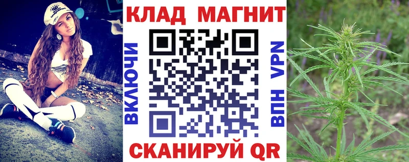 Магазины продажи наркотиков Малаховка MDMA Cocaine ГАШ Конопля АМФЕТАМИН