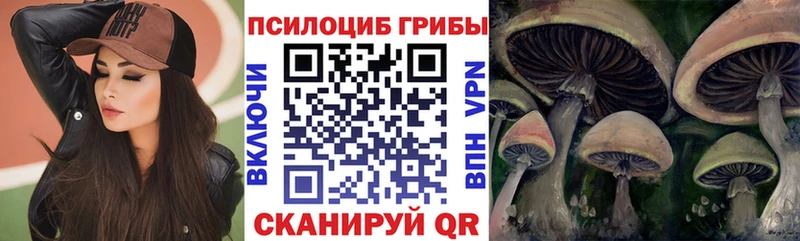 Галлюциногенные грибы мицелий  Малаховка 